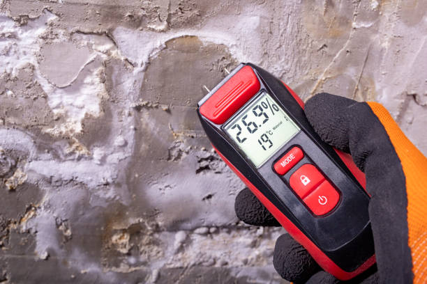 Best Crawl Space Mold Removal  in Knightstown, IN