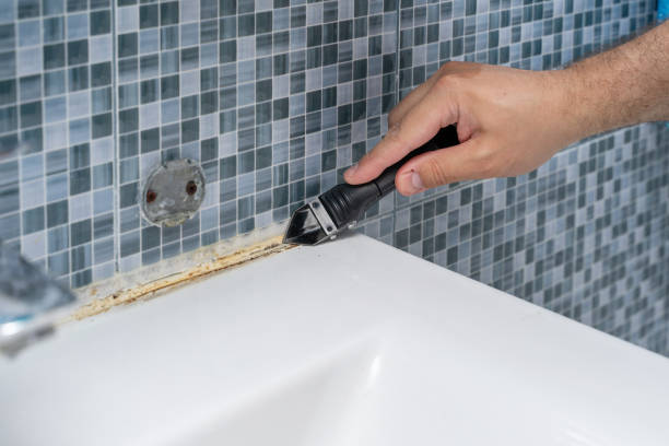 Best Attic Mold Removal  in Knightstown, IN