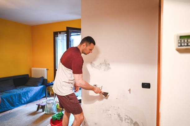 Best Toxic Mold Removal  in Knightstown, IN